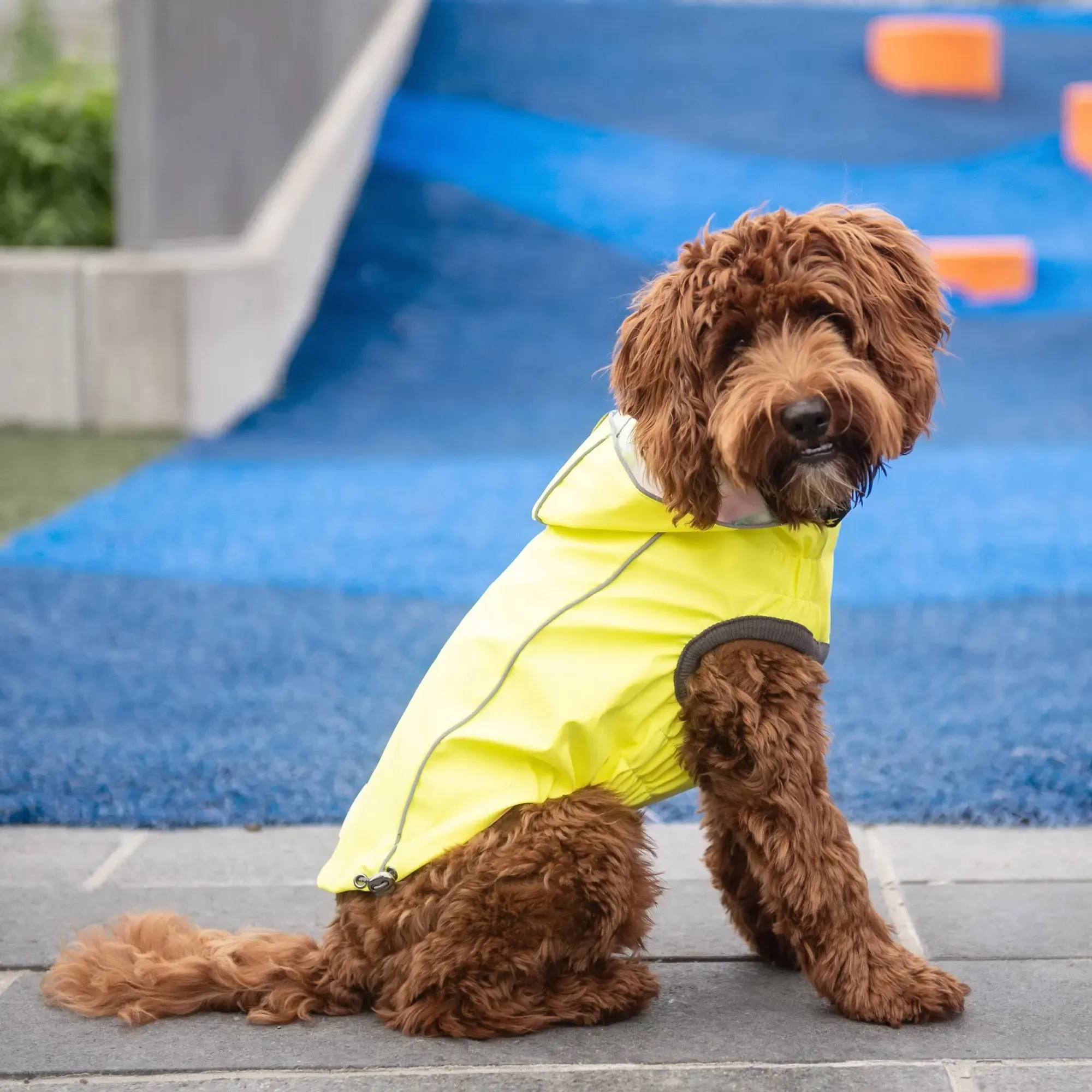 Reversible Dog Raincoat | Neon Yellow and Tie-Dye